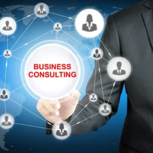 Empower Your Business with Expert Consultation!